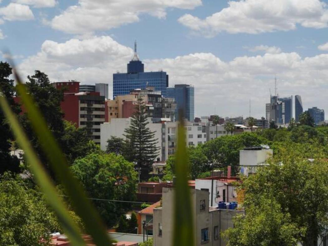 Pequena Habitacion Frida - Design Cdmx - Areas Comunes Compartidas Мексико Сити Екстериор снимка
